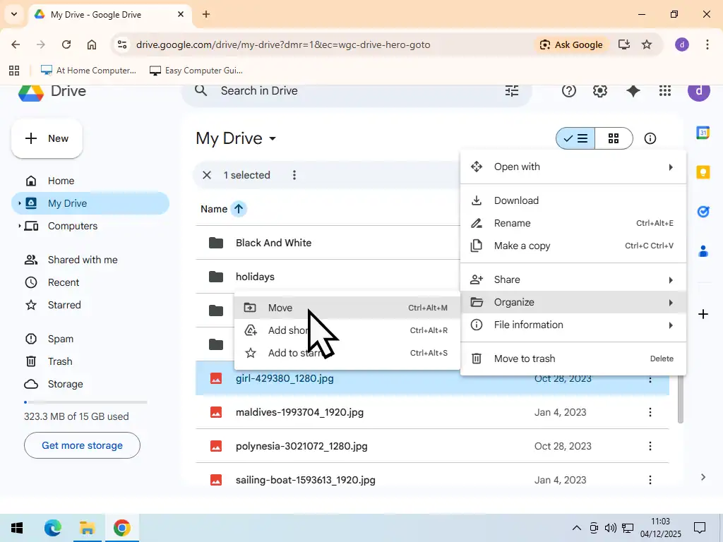 Move file into folder Move option in Google Drive.
