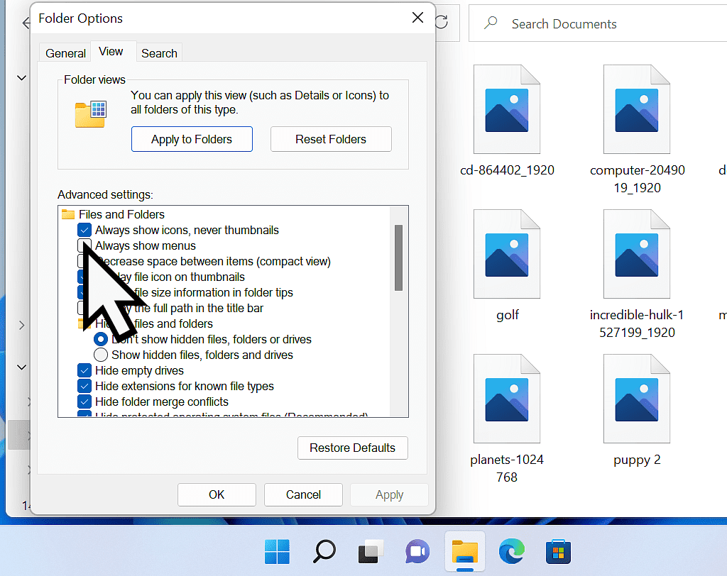 Folder options dialogue box. "Always show icons, never thumbnails" being de-selected.