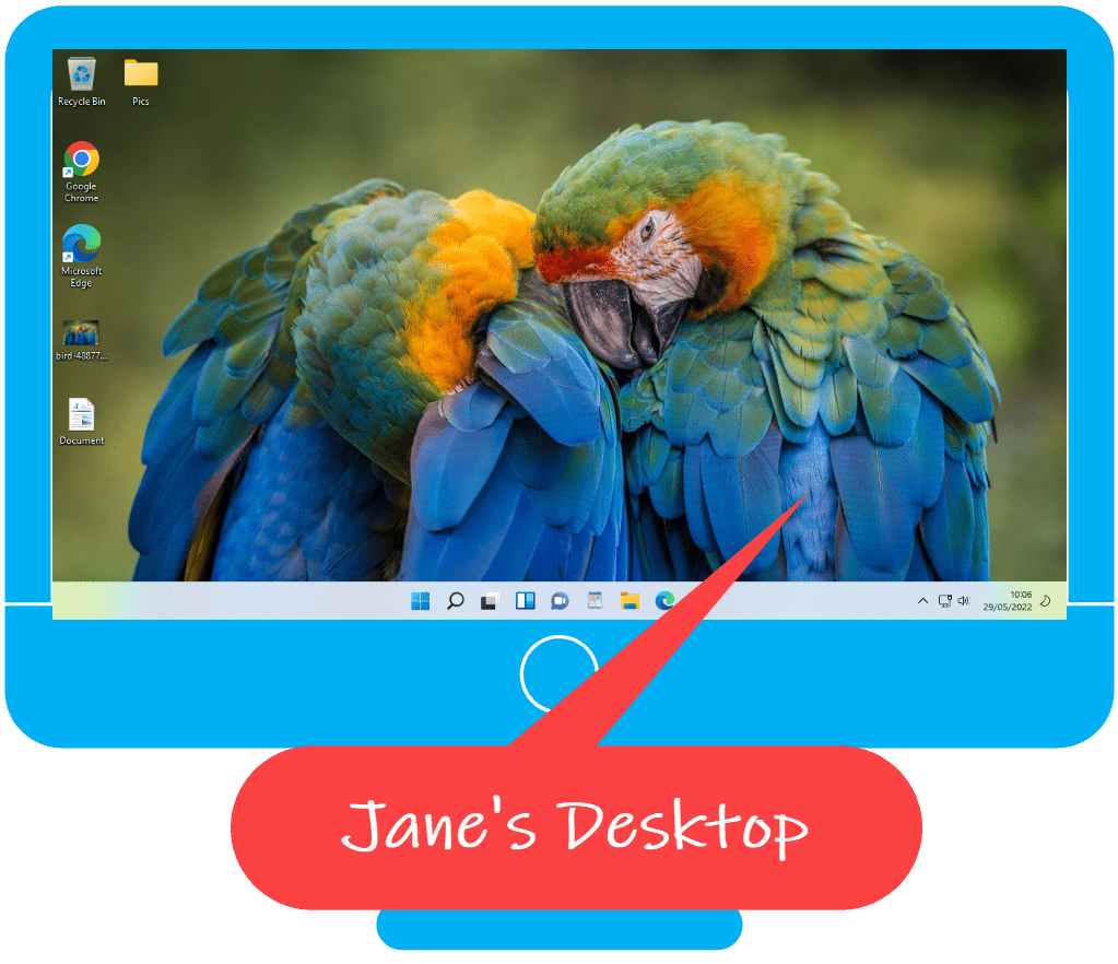 Computer with image of two parrots as desktop background. Text reads "Jane's desktop"