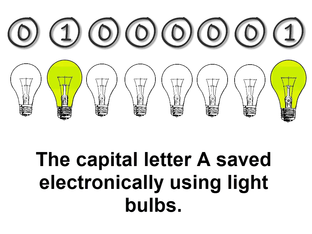 Eight light bulbs. Six are turned off representing zeros and two are turned on representing ones.