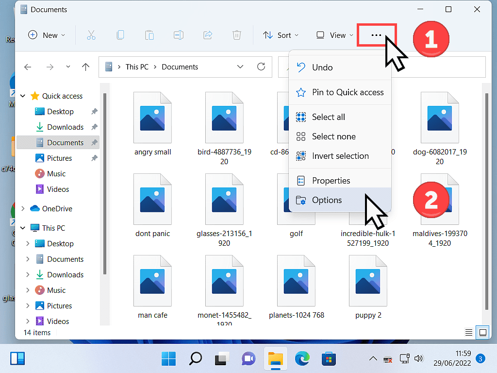 Folders options indicated in Windows 11.