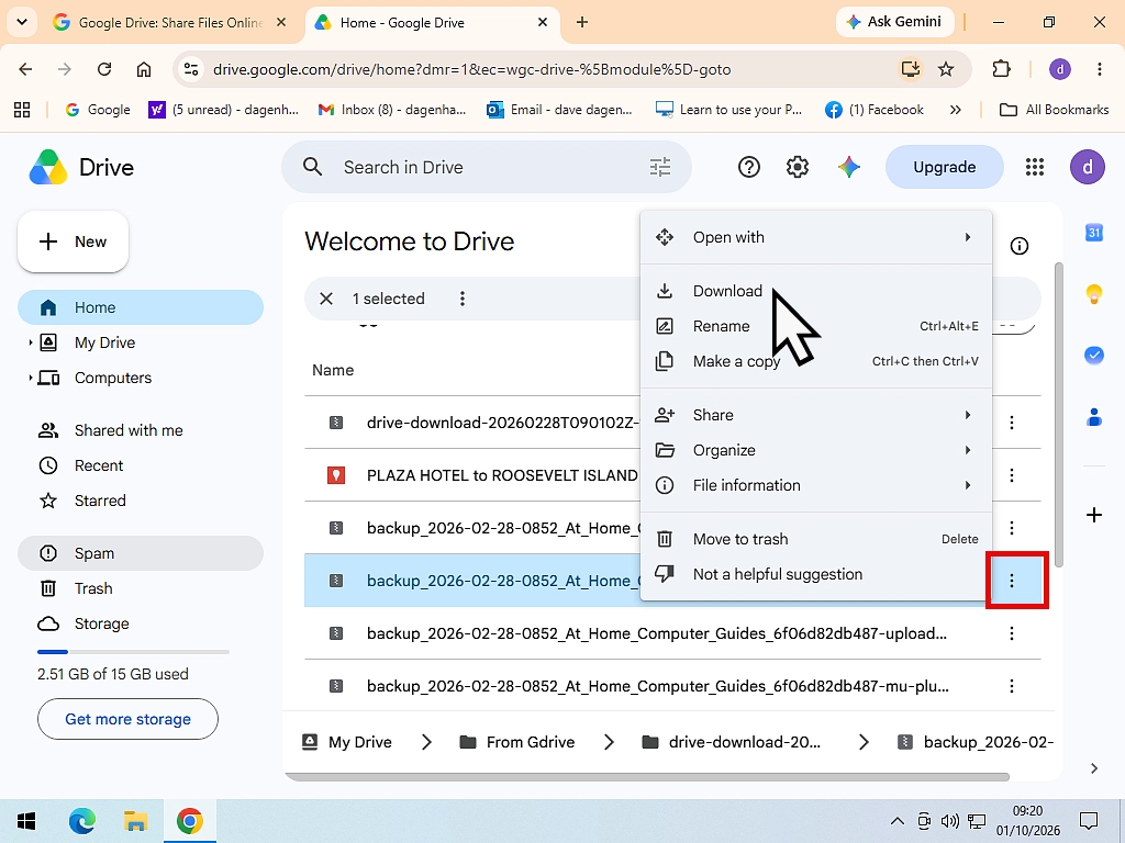 Download button on a file shared through Google Drive.