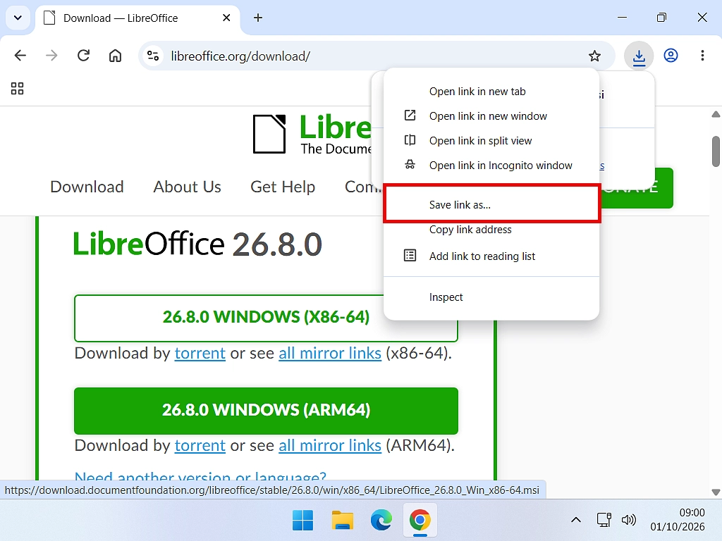 Save As window with a USB stick selected as the place to save a download.