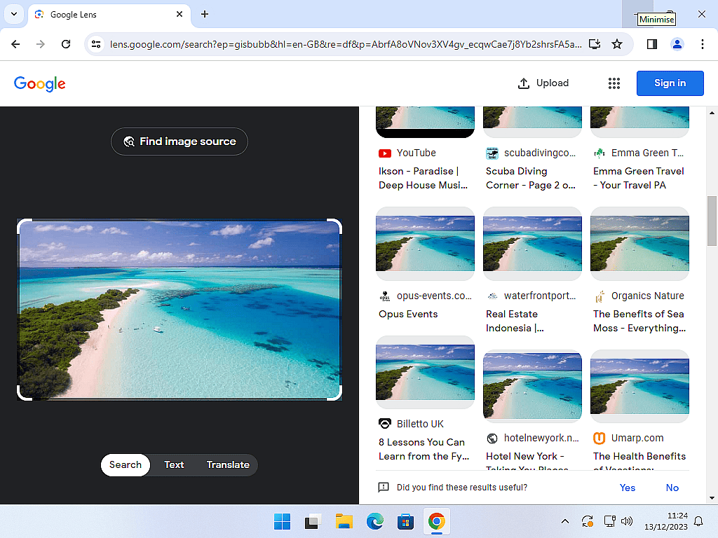 Google reverse image search results page.