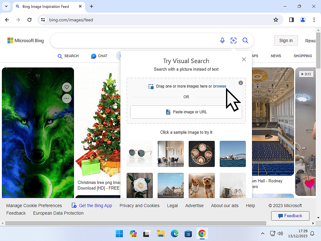 Browse button for Bing images selected.