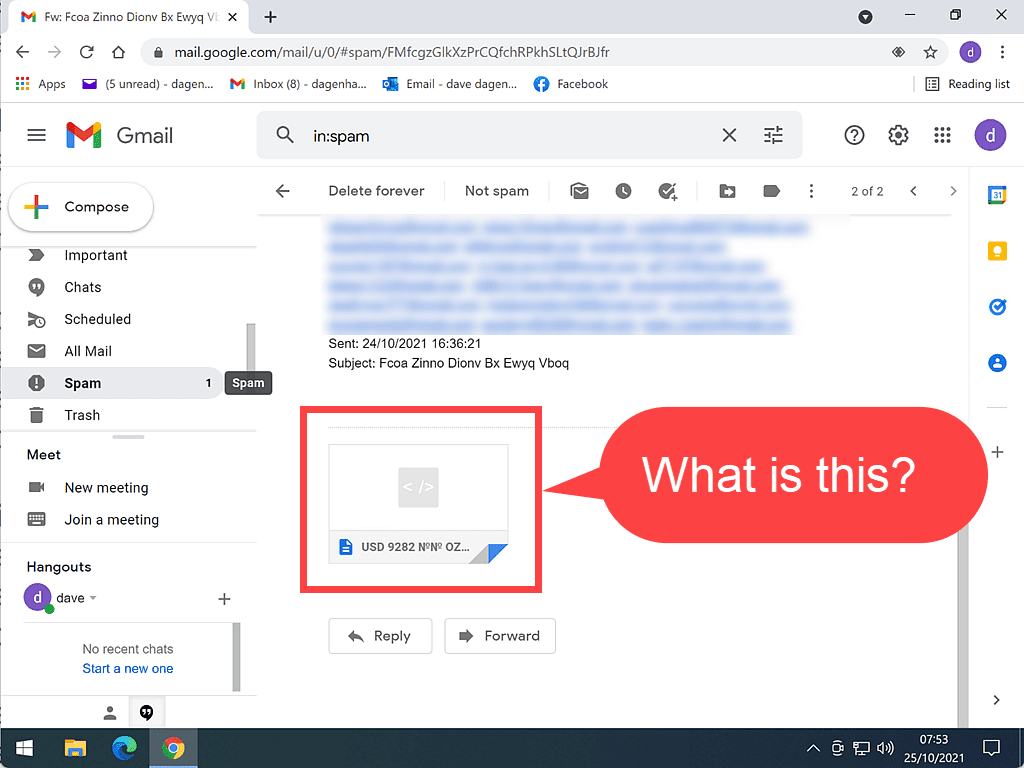 A phishing email with just a single file in the body. Nothing else. Speech bubble reads "What is this?" 