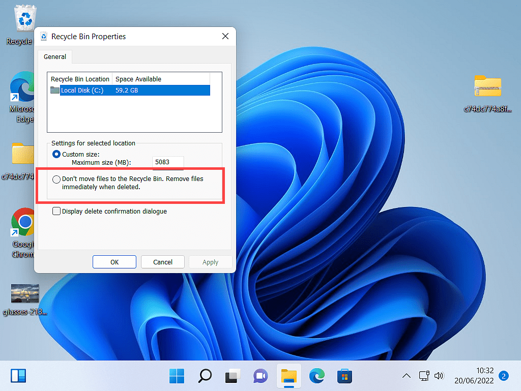 "Don't move files to the Recycle Bin. Remove files immediately when deleted" option indicated.
