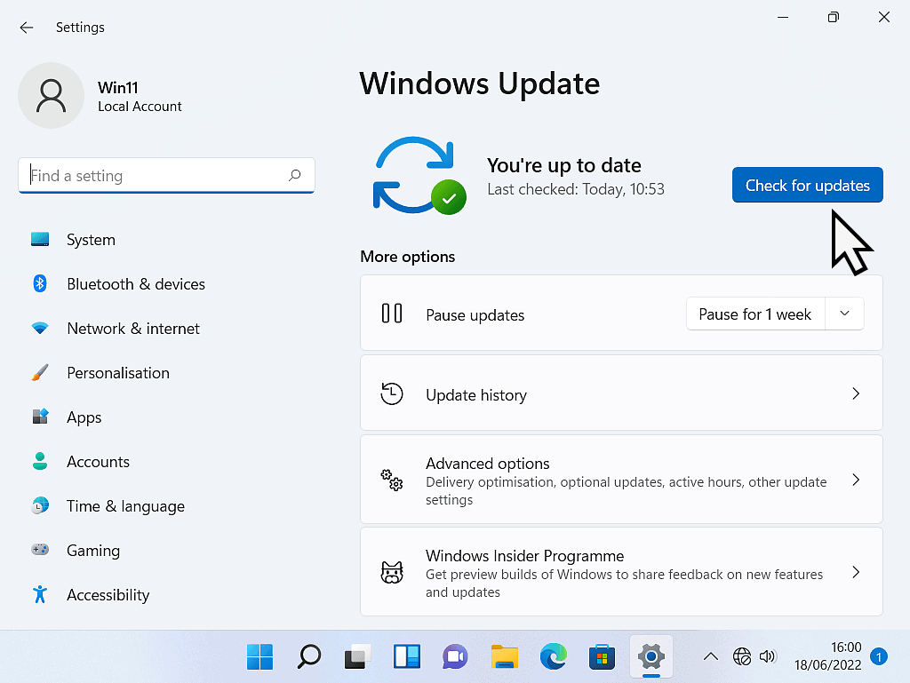 Windows 11 "Check for updates" button marked.