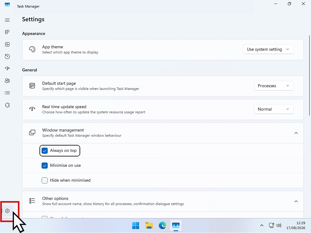 The Always on top tick box in the Windows 11 Task Manager settings.