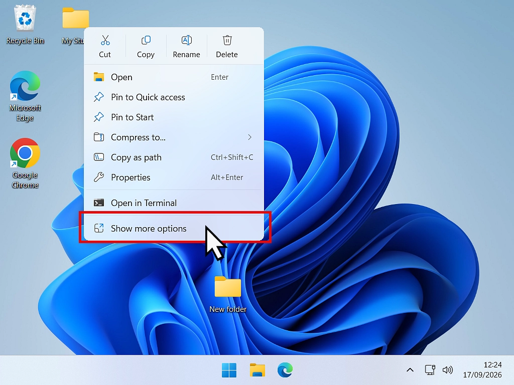 Windows 11 context menu open with Show more options highlighted.