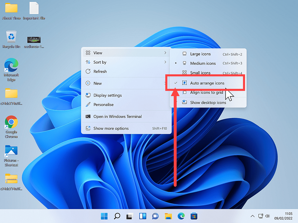 Auto arrange icons is shown as being selected.