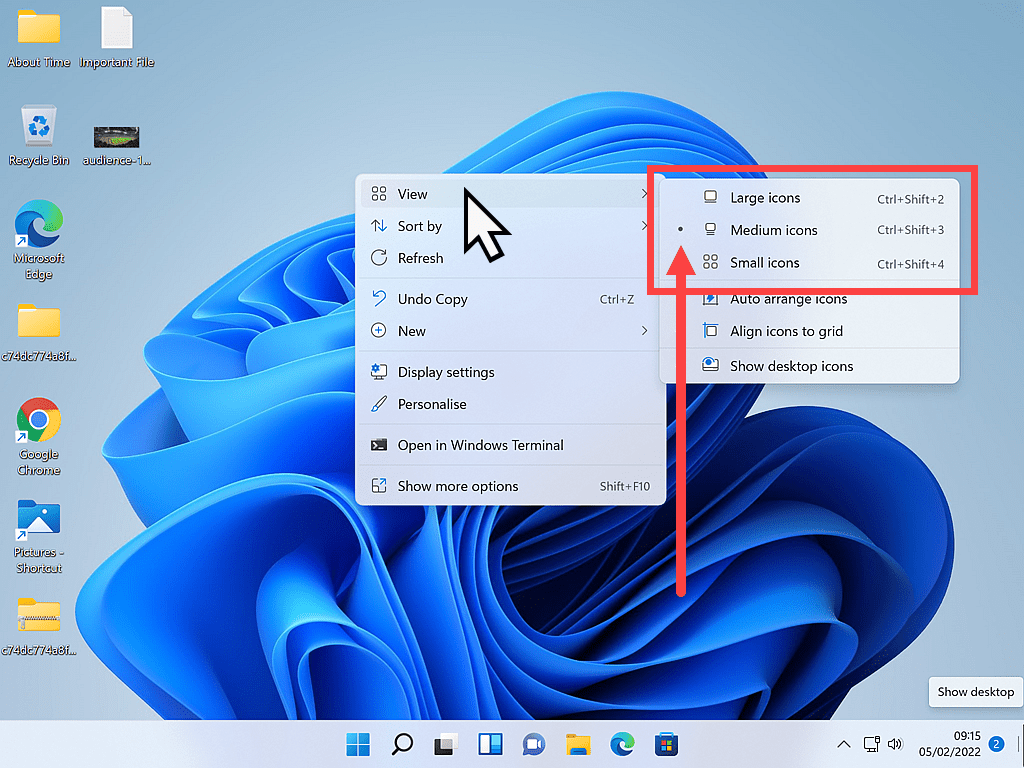 Desktop icon size options indicated in Windows 11. Medium is currently selected.