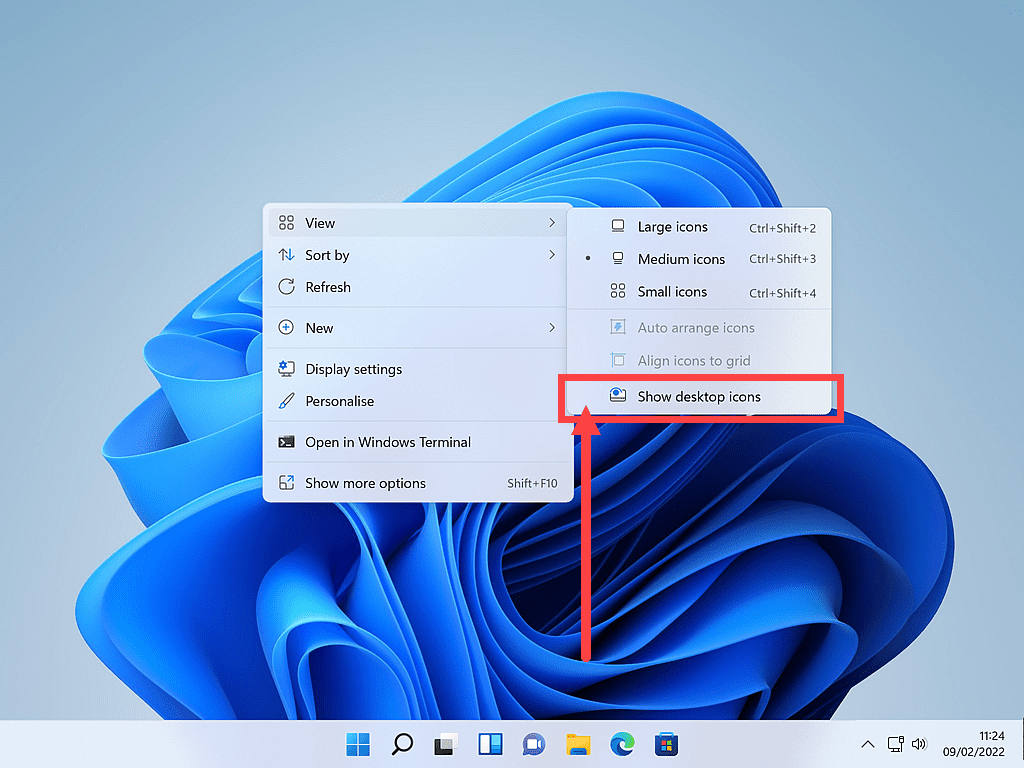 Windows 11 desktop devoid of any icons.