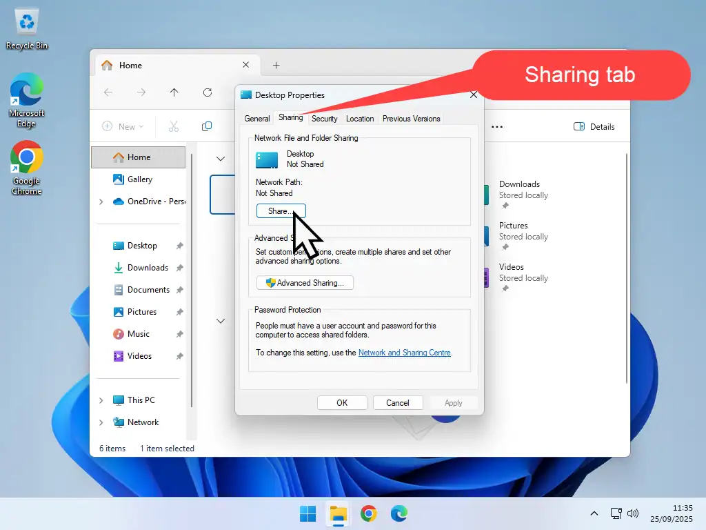 Share tab and Share button are marked in Windows 11 folder properties.