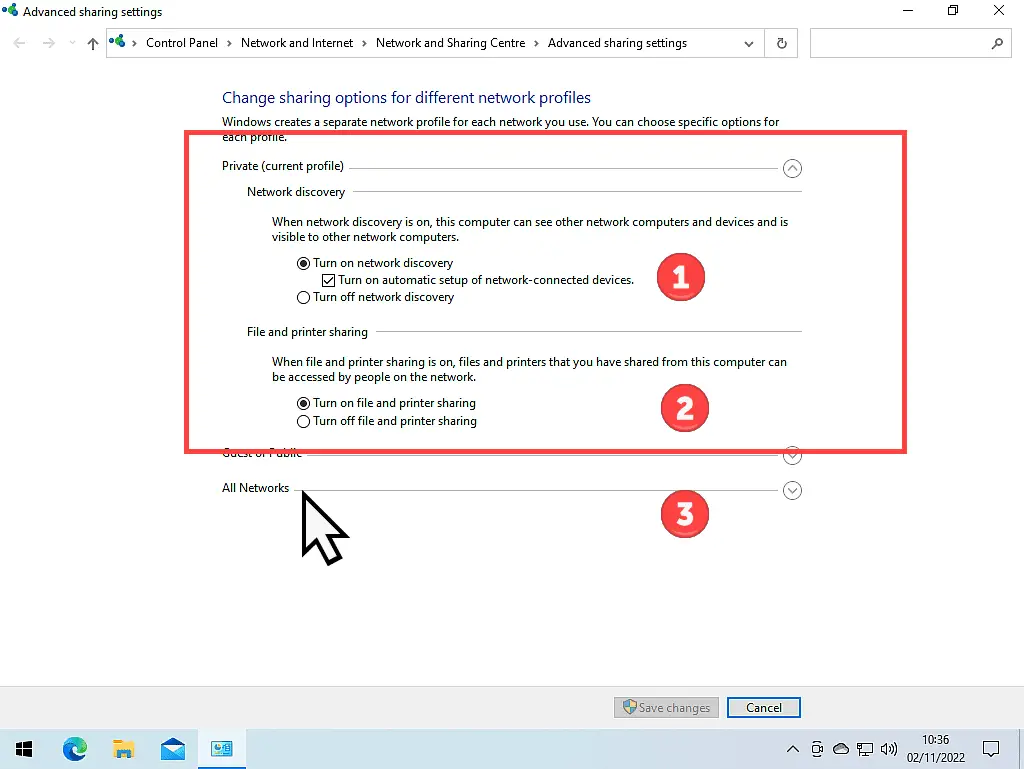 Network file sharing options for Windows 10. Network discovery, Automatic setup, File and printer sharing and All Networks are indicated.