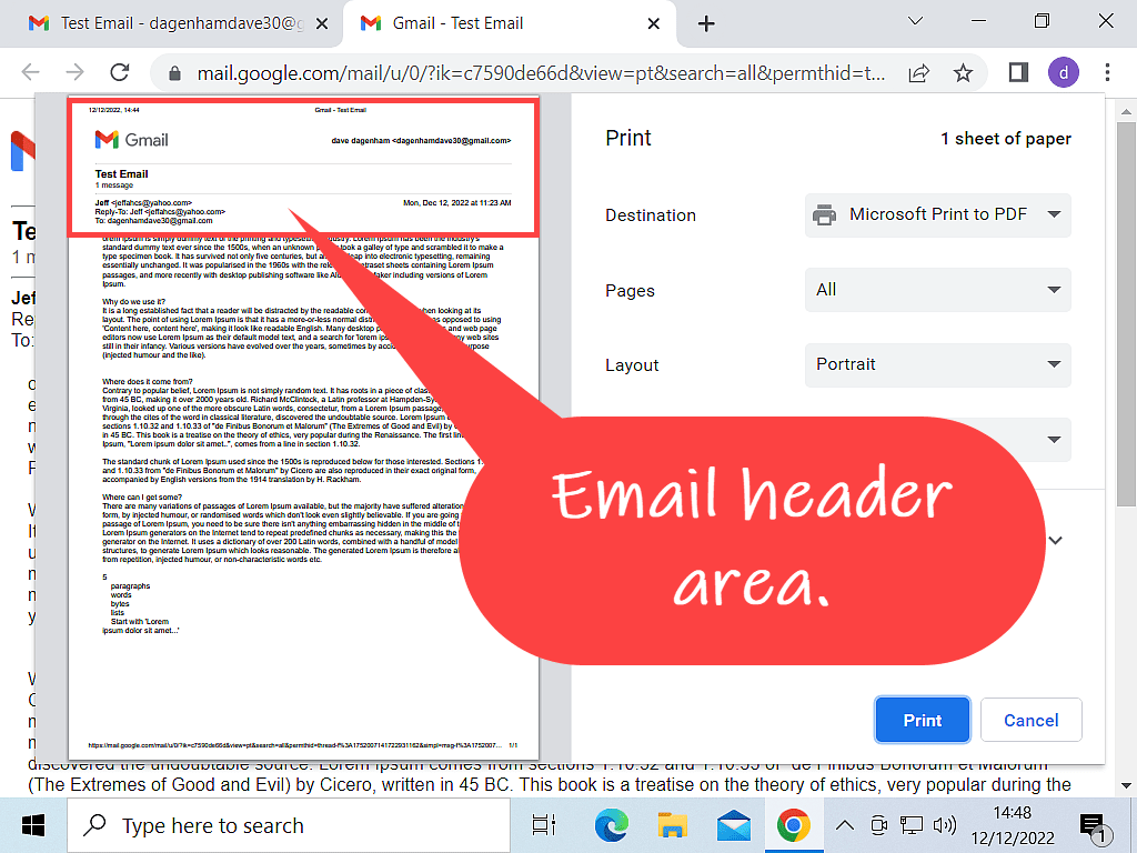 Print window open in Gmail. The header area (including the Gmail logo) is highlighted.