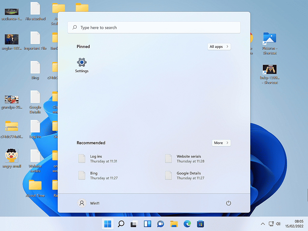 All items have been removed from Windows 11 pinned area except for the Settings app.