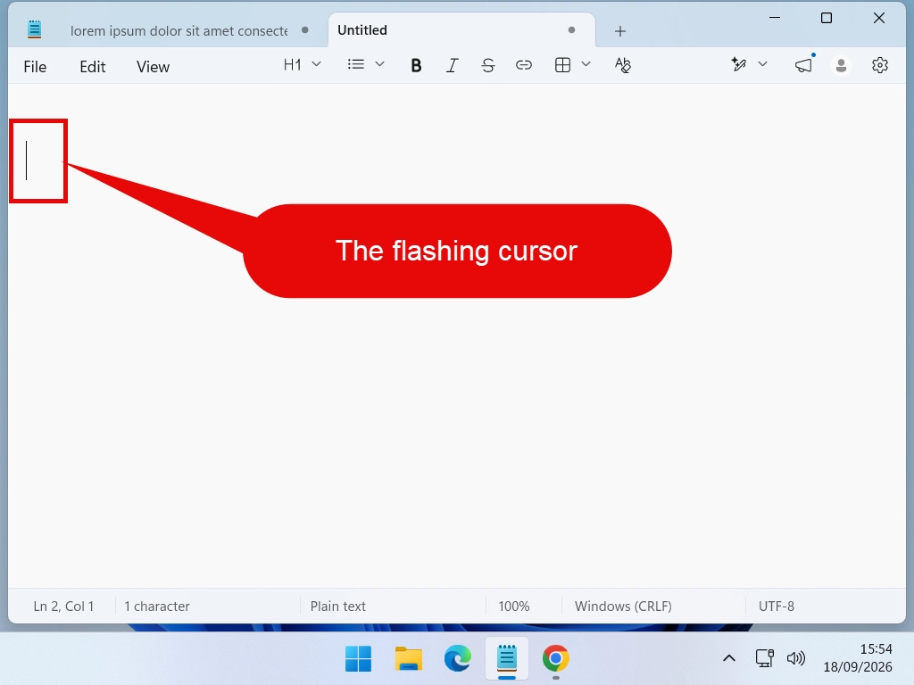 Flashing text cursor showing where copied text will be pasted in a document.
