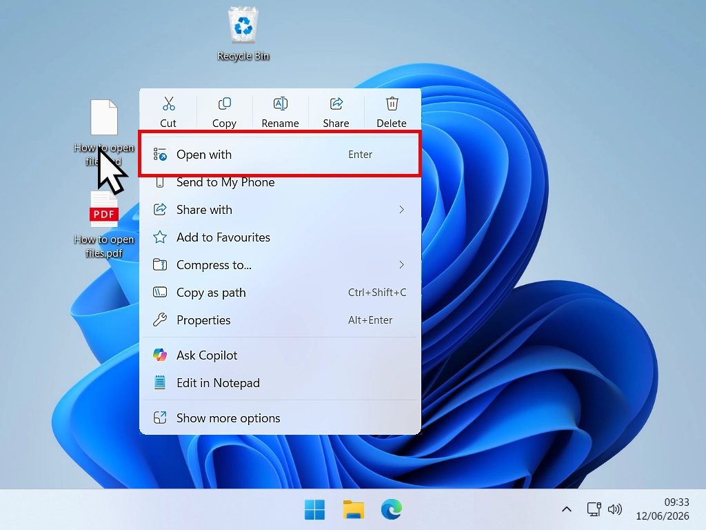 Open With command on options menu Only the Open With option is available on the right click menu for this file.