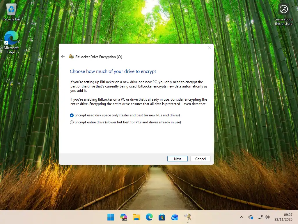 Choose how much to encrypt Choose how much to encrypt.