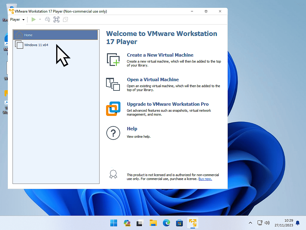 VMware Player open.