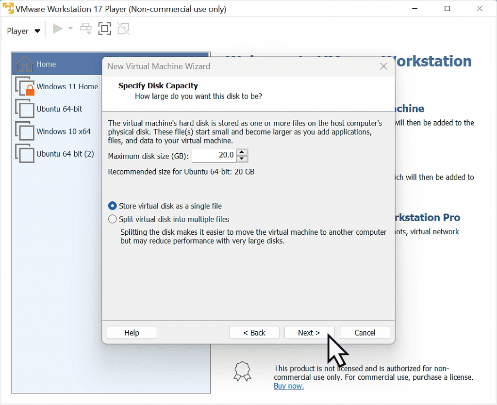 Linux Mint virtual disk capacity option.