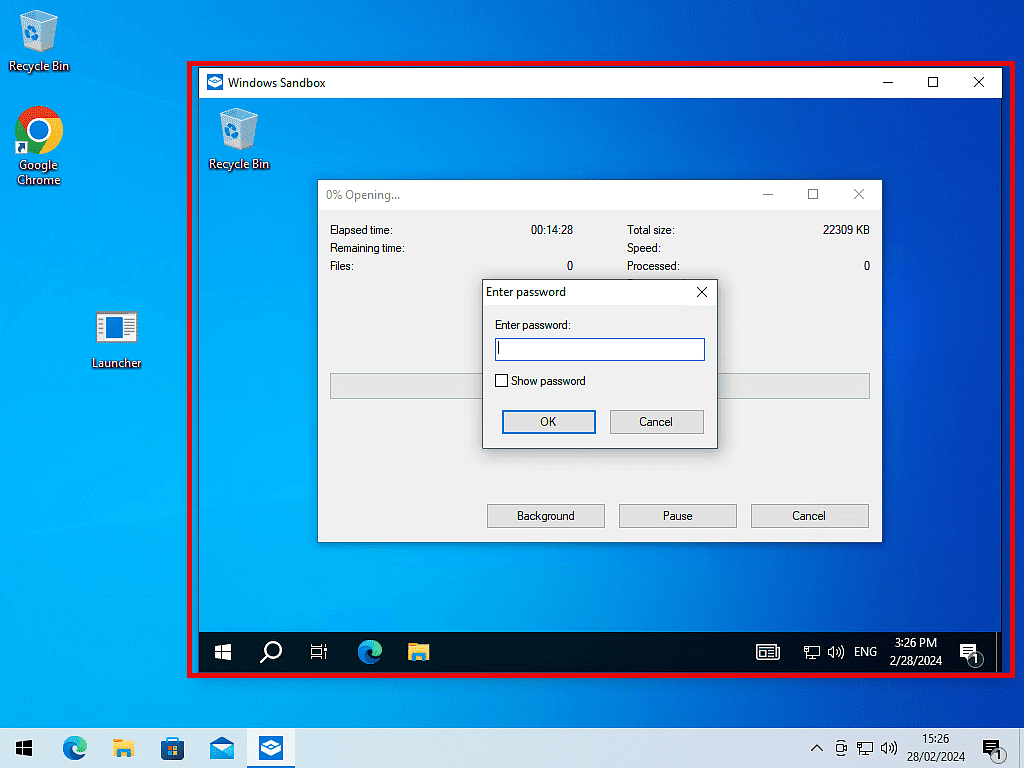 Inside the Windows Sandbox, the software requires a password to be entered in order to run.