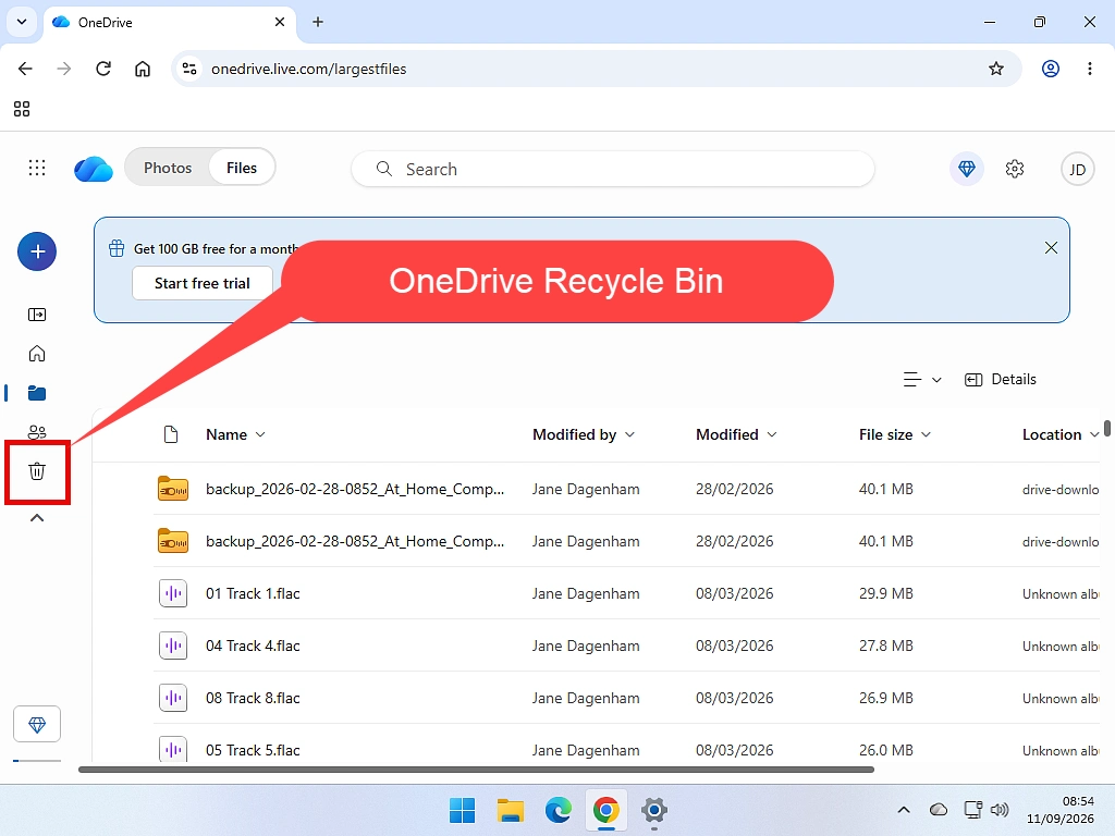 The files and folders that are currently stored in OneDrive including the Recycle Bin.