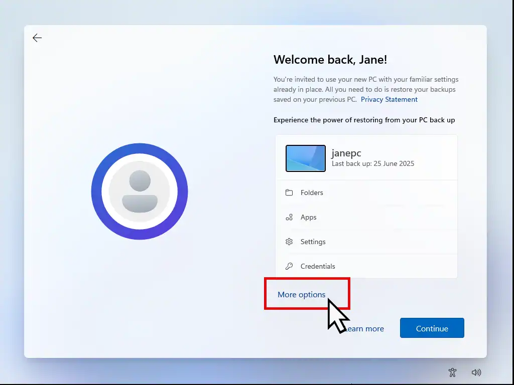 To perform a clean install of Windows 11, click the More Options link.