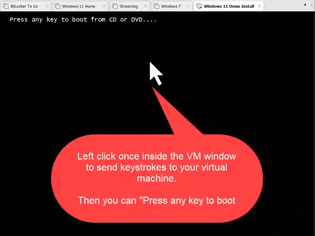 Sending keystrokes to VMware virtual machine Click inside the VM window to send keystrokes and clicks to it.
