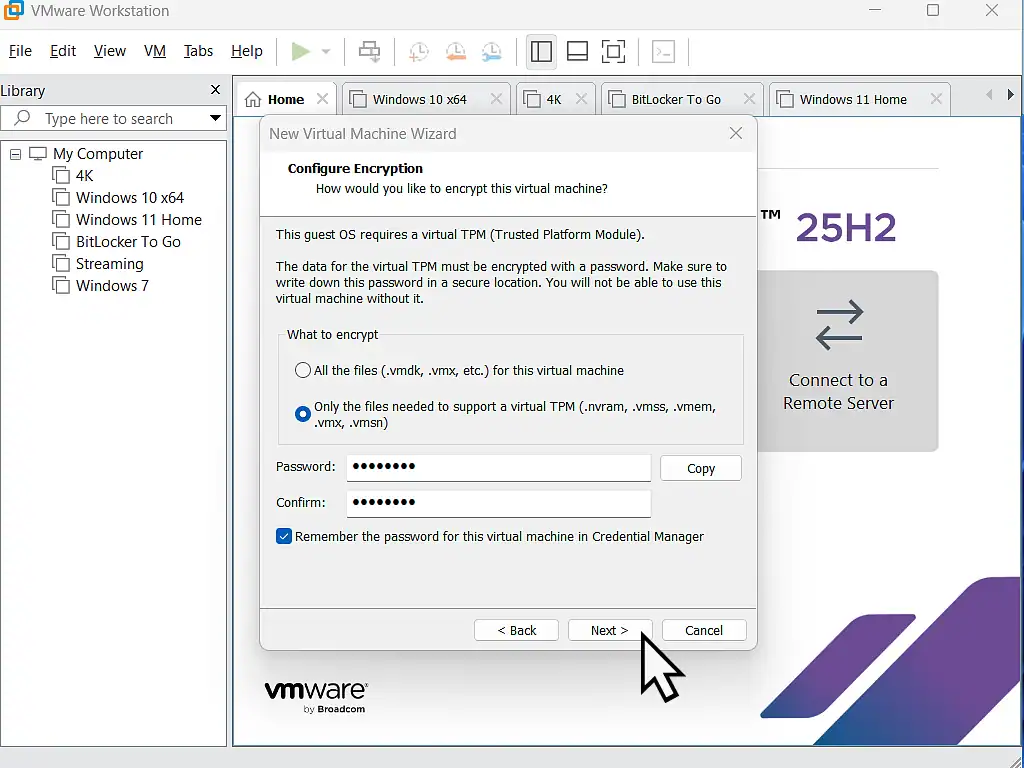 TPM encryption password for VMware Enter a password for the TPM.