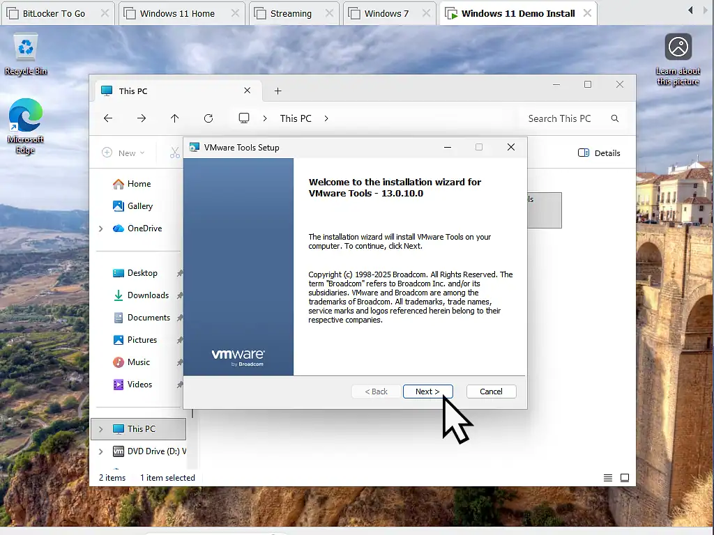 VMware Tools installation wizard VMware Tools installation wizard
