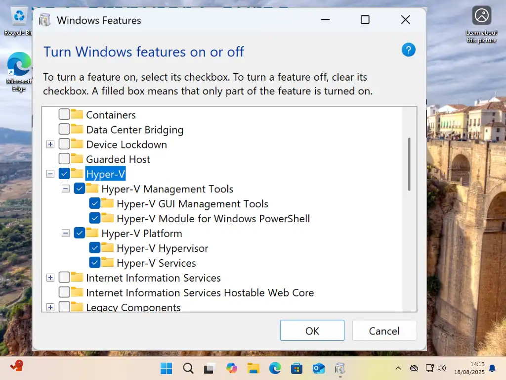Selecting all available Hyper V features.