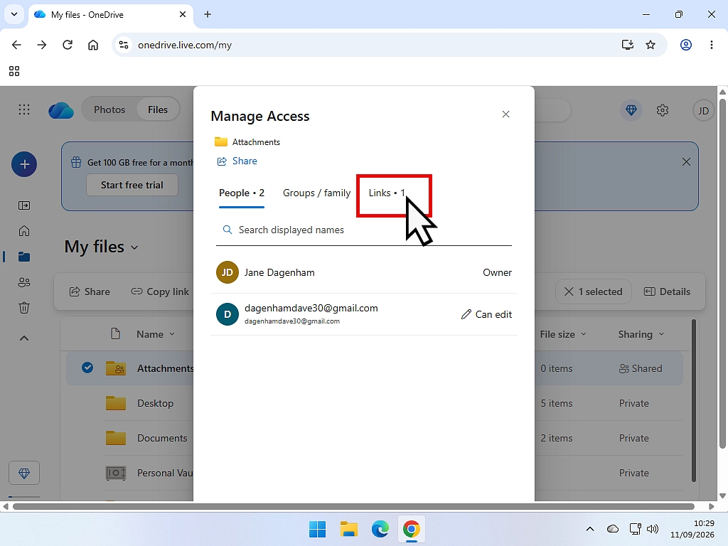 The Manage access panel on OneDrive.com showing who currently has access to a shared folder.