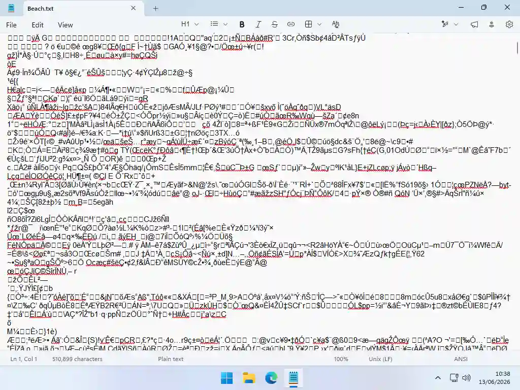 Image opened in Notepad The same beach scene image opened in Notepad. All you can see is a seemingly random mess of numbers, letters and symbols.