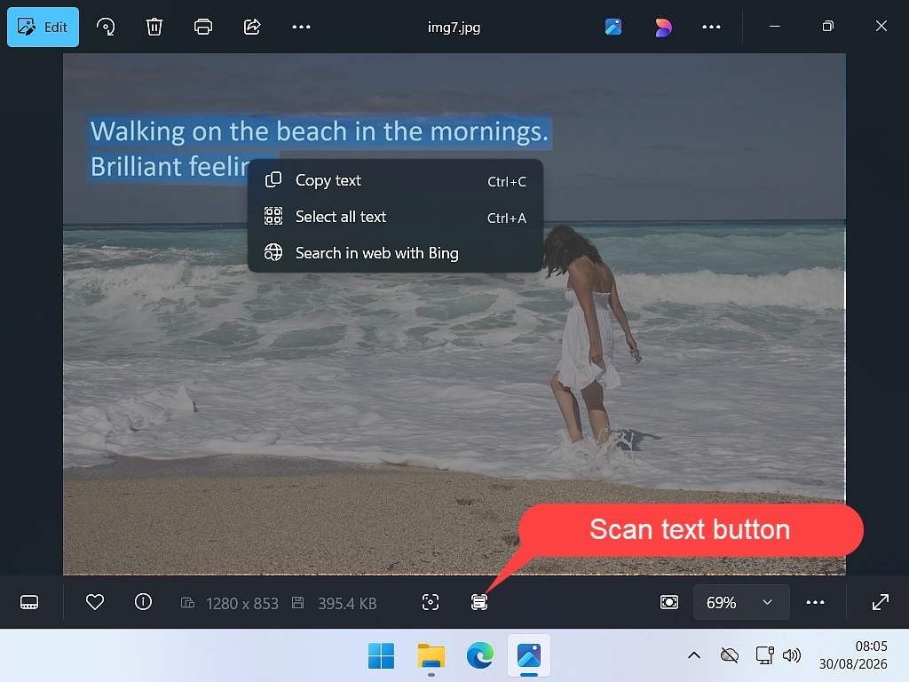A photo of a image open in the Windows Photos app with the Scan text button highlighted at the bottom.