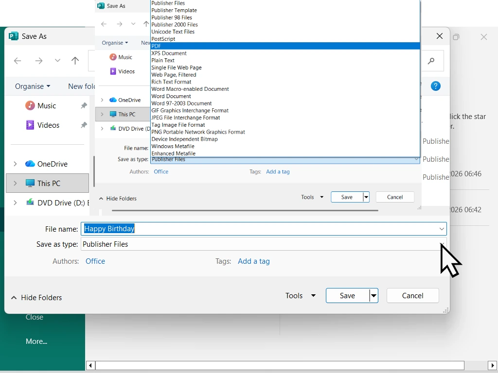 The Save As box in Microsoft Publisher with PDF chosen in the Save as type list